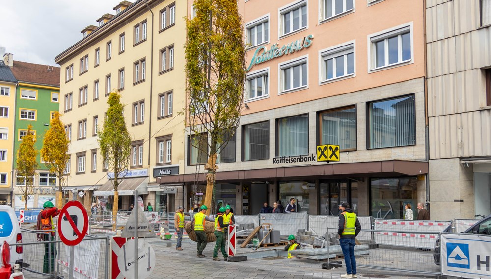 Die rund drei Tonnen schweren Bäume sorgen zukünftig für Begrünung und Schatten am Bozner Platz.
