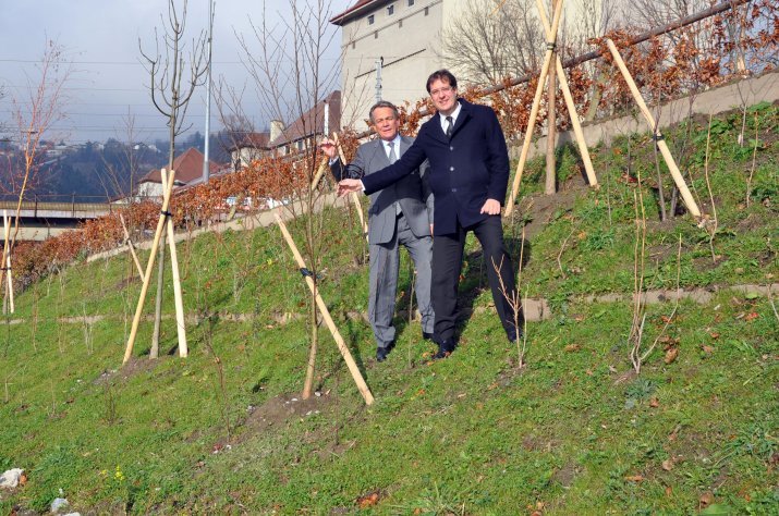 Begrunung Der Hochwasserschutzbauten Abgeschlossen Innsbruck Informiert