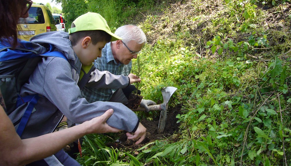 Eine Waldführung der besonderen Art unternahmen im Mai Kinder und Jugendliche der Schule am Inn. Im Rahmen des Waldprojektes „Erde“ brachen 53 SchülerInnen sowie 25 Begleitpersonen und LehrerInnen – angeführt von den Waldpädagogen des Innsbrucker Forstamtes – auf eine Entdeckungsreise mit allen Sinnen in den Auwald beim Baggersee auf. Mit fachlicher Unterstützung pflanzten die Kinder dabei auch Christbäume für die Zukunft.