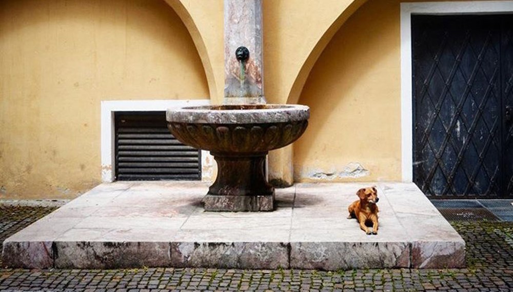 Noch bis 9. September werden Innsbrucks Stadtoasen auf Instagram gesucht.