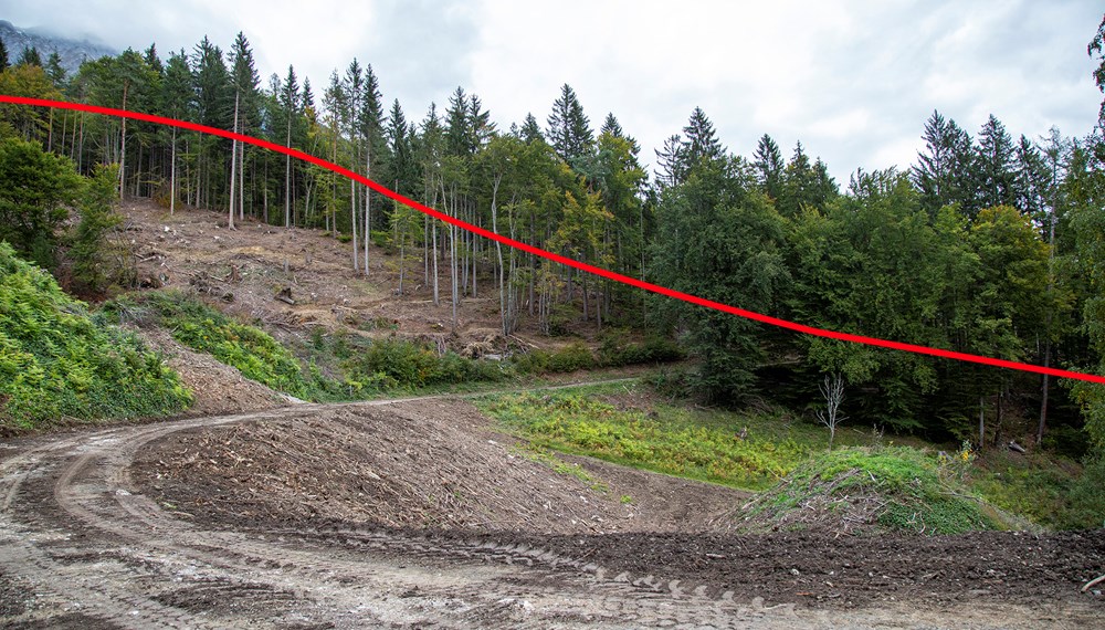 Bis zu 15 Meter hoch (rote Markierung) lag der Schnee am Ende der vier Lawinenausläufer auf der Nordkette.