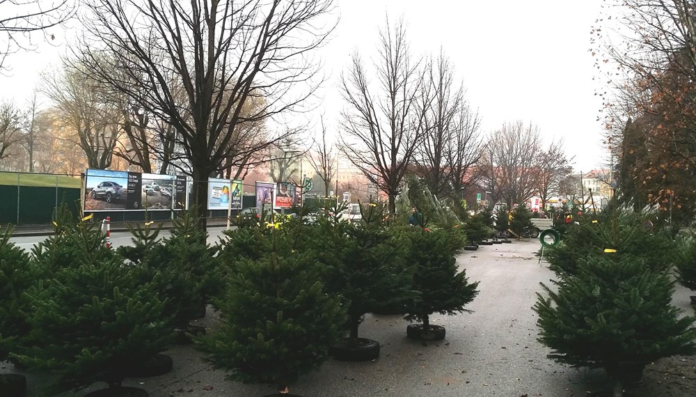 Gegenüber vom Tivoli-Schwimmbad können ab Mittwoch, 18. Dezember bis Montag, 23. Dezember von 8.00 bis 18.00 Uhr Tiroler Christbäume von heimischen Züchtern und Händlern gekauft werden.