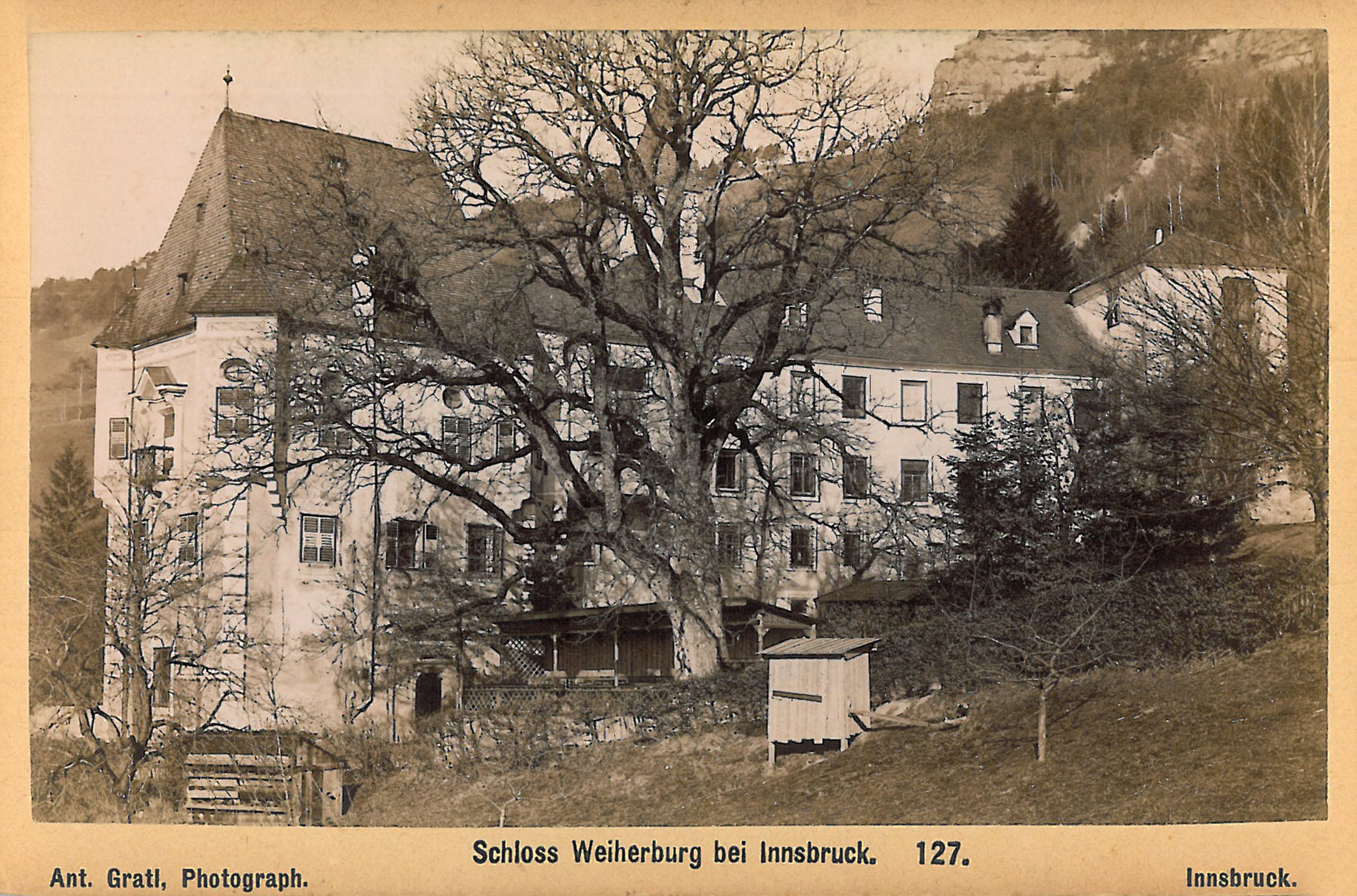 Die Weiherburg um 1900. Rechts im Bild womöglich der zum 4. Februar erwähnte „Riesennussbaum“.