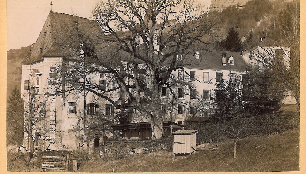 Die Weiherburg um 1900. Rechts im Bild womöglich der zum 4. Februar erwähnte „Riesennussbaum“.
