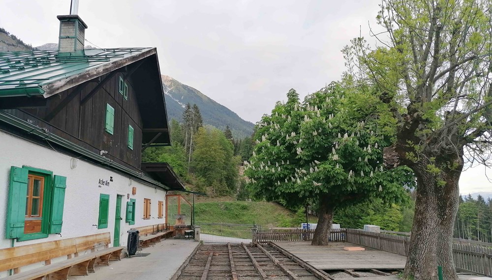 Ende Mai sollen die Erneuerungsarbeiten sowie die Neupflanzung der Terrassenbäume abgeschlossen sein.