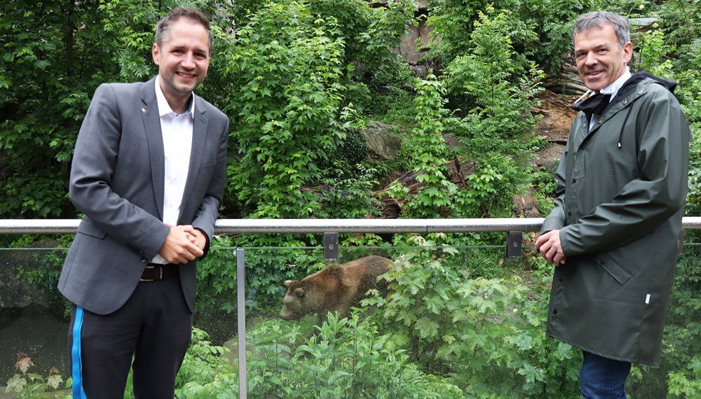 Nach 62 Tagen Corona-Sperre ist der Alpenzoo Innsbruck endlich wieder für BesucherInnen geöffnet. Diesen erfreulichen Anlass nutzte Bürgermeister Georg Willi zu einem Besuch. Zoodirektor André Stadler informierte ihn dabei über die Vorkehrungen des Alpenzoos, um für die Gäste einen sicheren Besuch zu ermöglichen. An Spitzentagen zählt der Alpenzoo bis zu 2.500 BesucherInnen täglich. Rund 2.000 Tiere und 150 verschiedene Arten werden in naturnah gestalteten Gehegen, Aquarien und Terrarien gepflegt. Der Alpenzoo ist damit weltweit einzigartig.