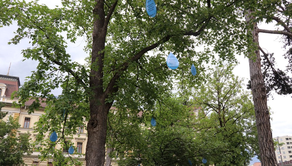 Die an den Bäumen des Parks angebrachten Wassertropfen machen auf das Projekt „cool-INN“ aufmerksam.
