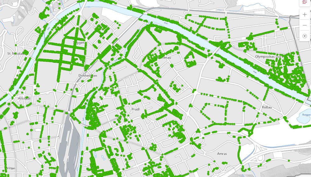Der digitale Baumkataster gibt Auskunft über Alter, Gattung und Standort aller Bäume, die von der Stadt Innsbruck betreut werden.
