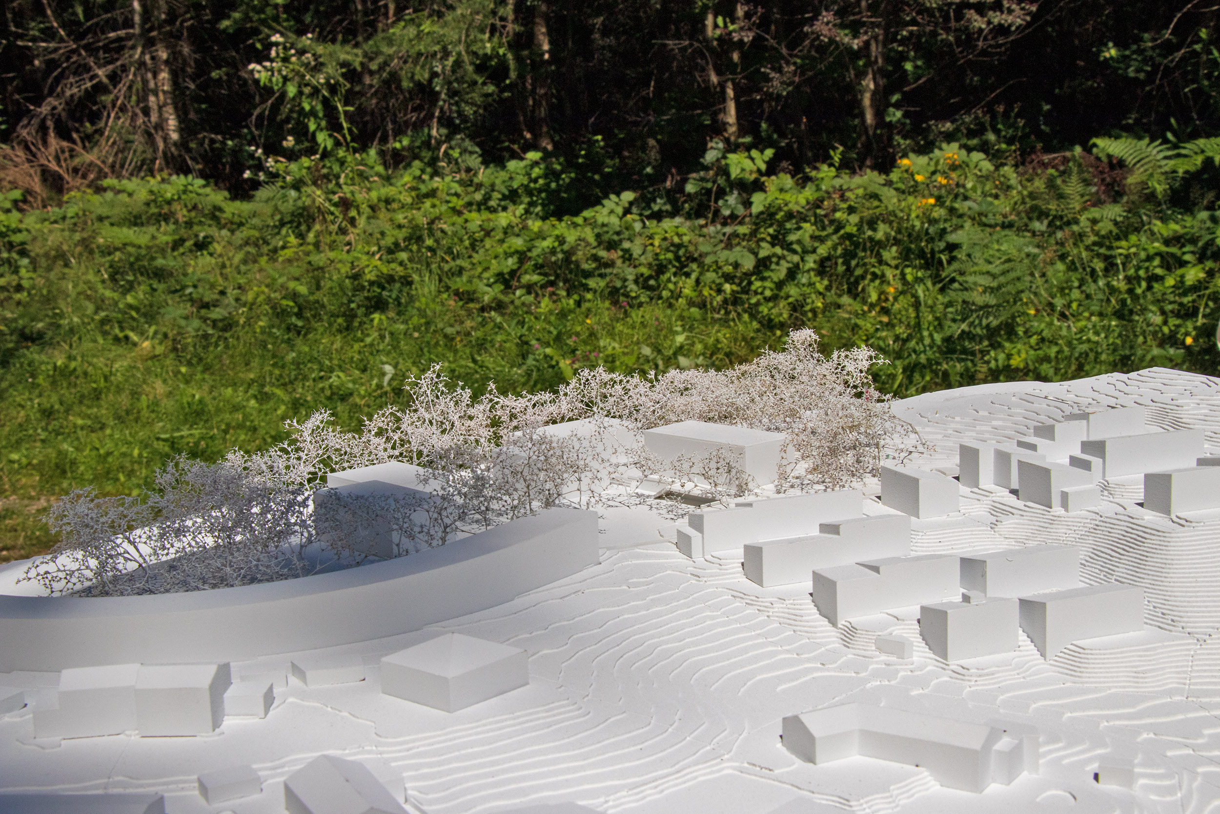 "Am Bichl 3" bringt 50 städtische Mietwohnungen und leistbare Eigentumswohnungen für Familien aus Igls und Innsbruck. Das Projekt wird am Dienstag, 28. Juli um 17.00 Uhr im Turnsaal der Volksschule Igls öffentlich präsentiert und kann mit allen weiteren eingereichten Projekten bis einschließlich Samstag, 1. August jeweils von 17.00 bis 19.00 Uhr besichtigt werden.