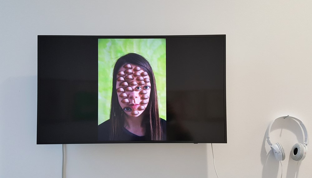 Über das Auffassen, Begreifen und die Erkenntnis: Die Galerie Plattform 6020 zeigt von 20. August bis 19. September in der Ausstellung „perceptio“ Werke der Künstlerin Stefanie Salzburger.