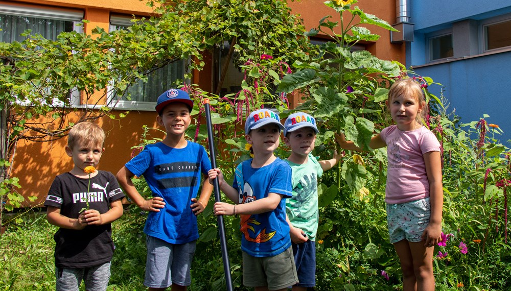 Große Freude am Garteln zeigten die Buben und Mädchen in der Sommerbetreuung im Kindergarten Walderkammweg.
