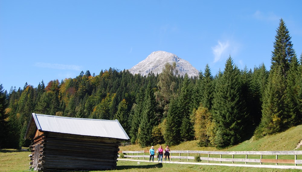 Ausflüge nach Wildmoos sind im Rahmen der Veranstaltung "Unsere Berge für Innsbrucks SeniorInnen" sehr beliebt.