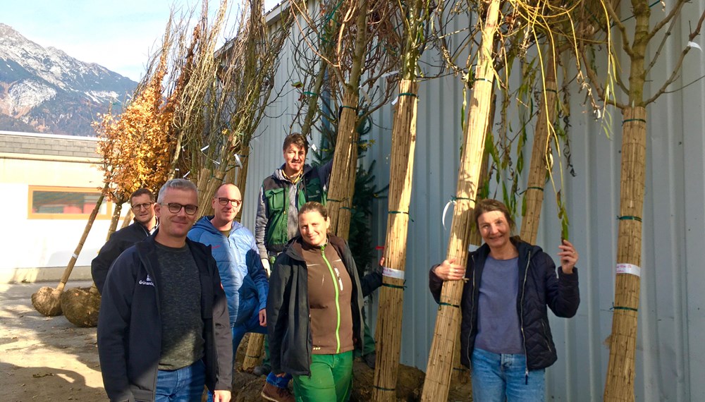 Amtsvorstand Thomas Klingler, Michael Gapp, Robert Mair, Franz Gatt, Nicole Troger (alle Grünanlagenamt) und Vizebürgermeisterin Uschi Schwarzl (v. l.) freuen sich über die Baum-Lieferung.