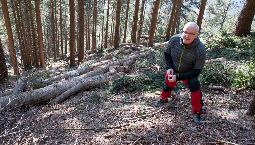 Waldaufseher Wolfgang Huber im steilen Gelände unterhalb der Höttinger Alm, wo die Arbeiten bereits laufen. Damit der Abtransport des Holzes reibungslos und sicher läuft, muss die Forststraße gesperrt werden.