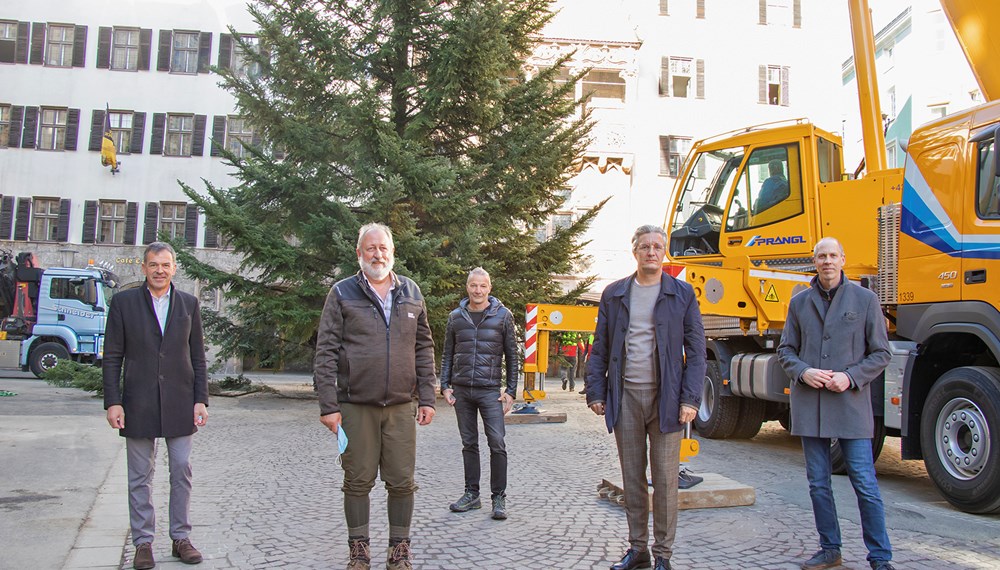 Bürgermeister Georg Willi, Kurt Pröller (Amt für Wald und Natur), Robert Neuner (Geschäftsführer IAI Veranstaltungs GmbH), Michael Perger (Obmann Interessengemeinschaft Altstadt Innsbruck) sowie Bernhard Vettorazzi (Geschäftsführer Innsbruck Marketing, v. l.) freuen sich über die erfolgreiche Aufstellung des rund drei Tonnen schweren Christbaums vor dem Goldenen Dachl.