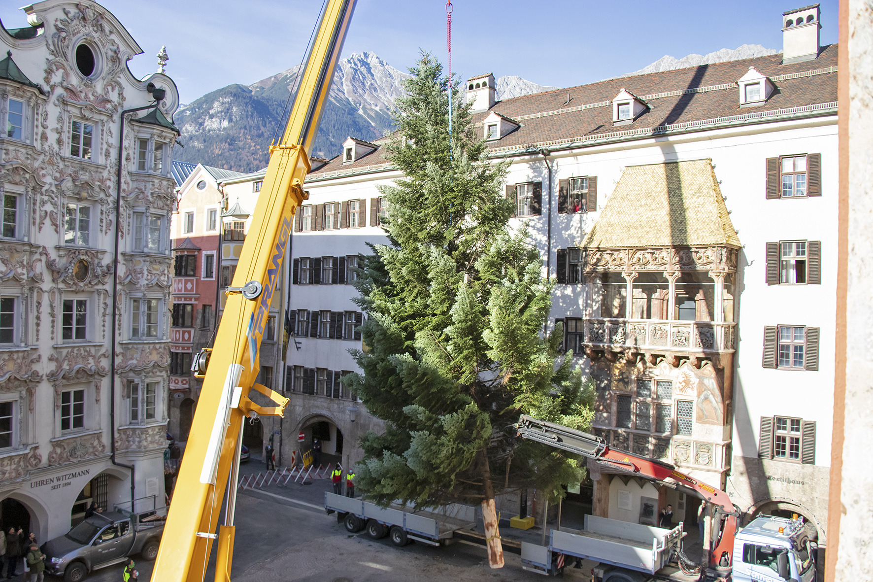 Die Mitarbeiter des städtischen Amtes für Wald und Natur haben den etwa 43 Jahre alten Christbaum mithilfe eines Krans in Millimeterarbeit aufgestellt. Anschließend wird er durch Seile am Stadtturm, Goldenen Dachl und Helblinghaus gesichert.