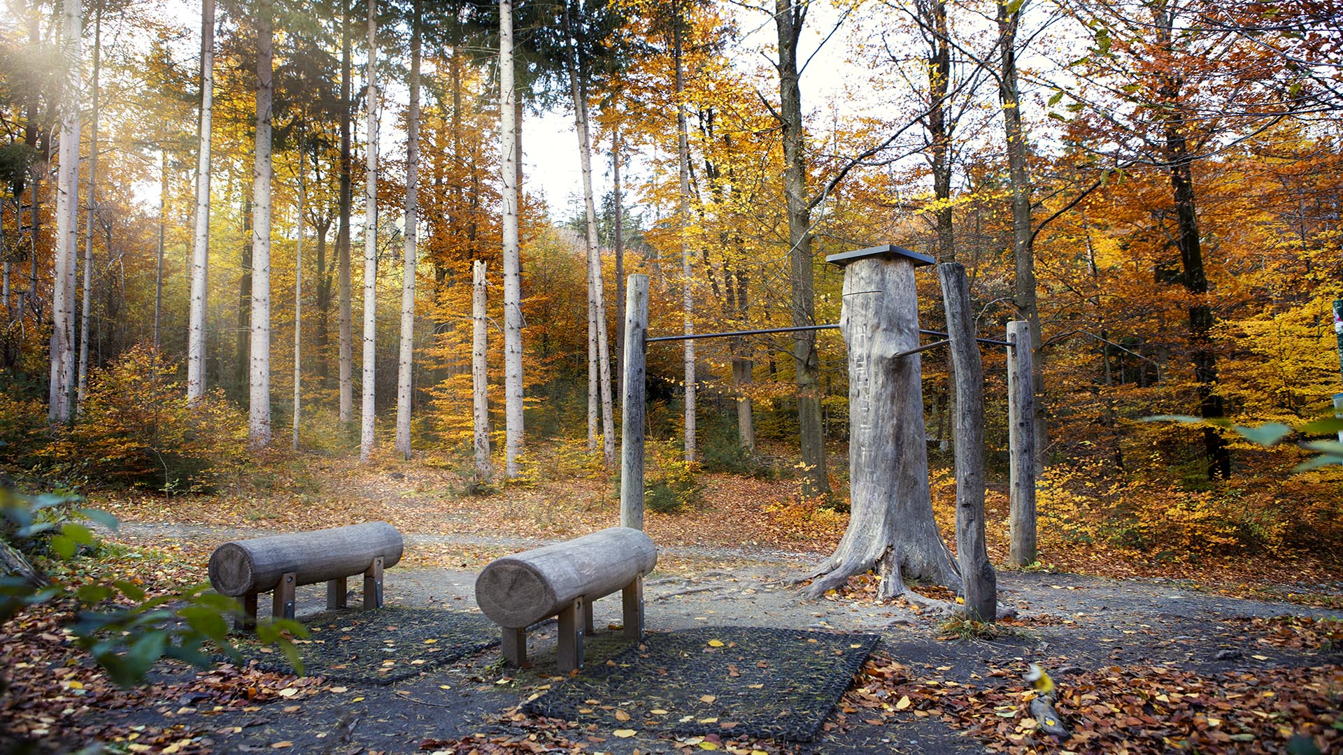 Für Sportbegeisterte steht die Forstmeile mit zahlreichen Fitnessgeräten zur Verfügung.