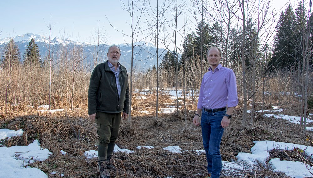 Förster Kurt Pröller (Amt für Wald und Natur, l.) und Vizebürgermeister Johannes Anzengruber verschafften sich einen Überblick vom KlimaTop am Brunellboden.