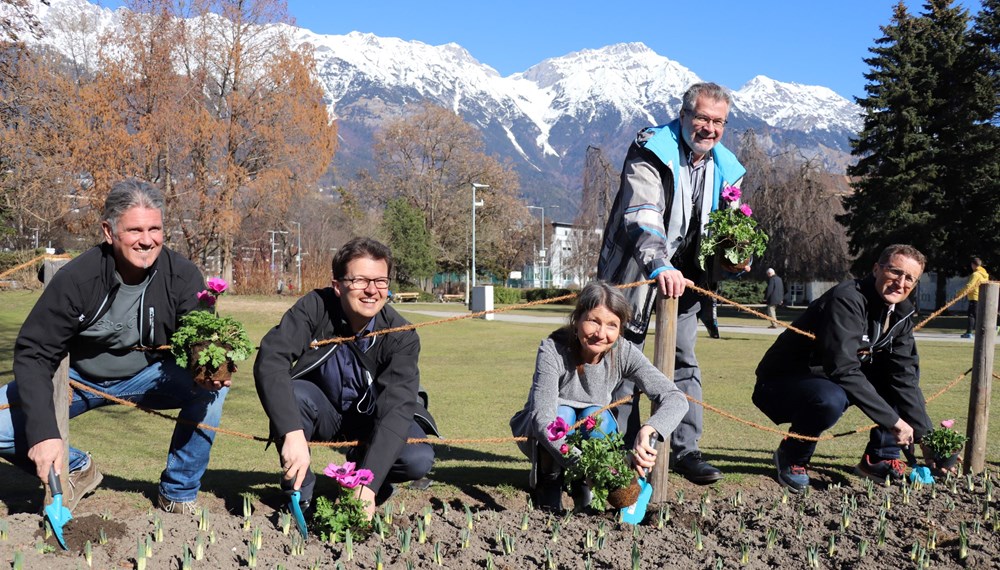 Stefan Engele (Pflege und Service), Markus Pinter (Planung und Bau), Stadträtin Uschi Schwarzl, Alexander Legniti (Friedhöfe) und Amtsleiter Thomas Klingler (Stadtgartenverwaltung) begrüßen den Frühling. In zwei Wochen wird die Stadt so richtig bunt.
