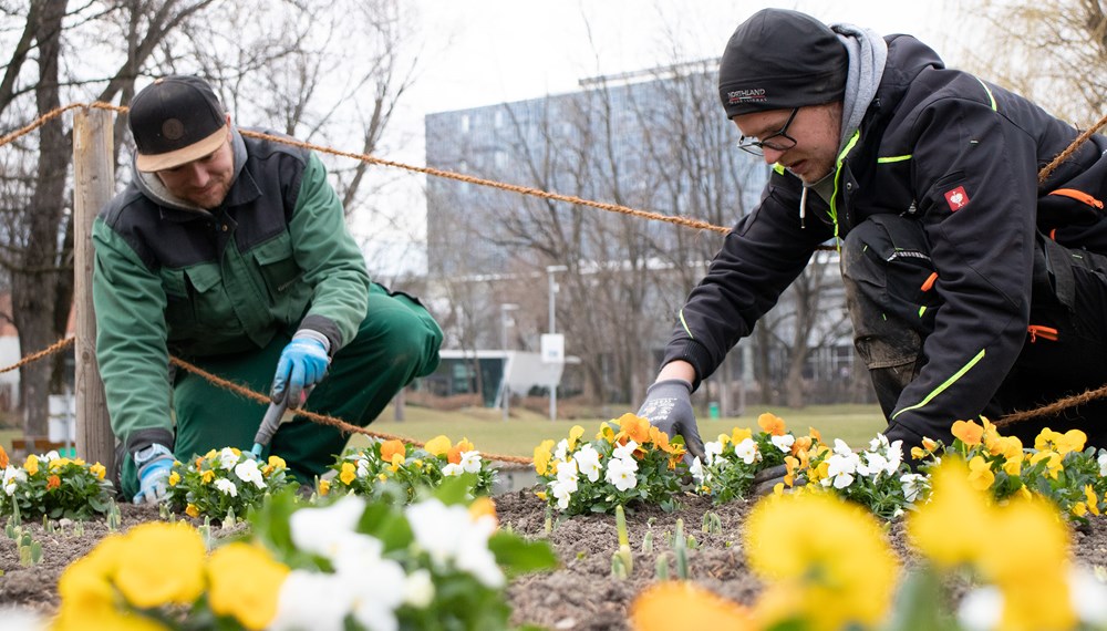 Die Stadtgärtner – wie hier im Rapoldipark – legen ab kommender Woche so richtig los.
