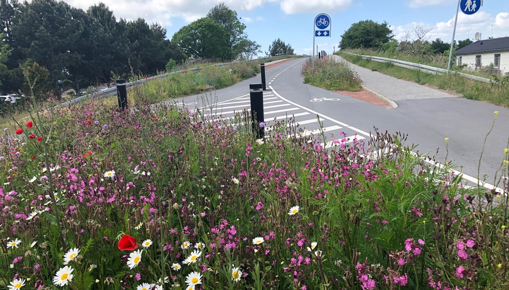 Die „Naturbroen“ (Naturbrücke) ist eine Autobahn-Brücke, die nun zu einer Fahrradbrücke umgewandelt wurde. Der Radweg führt in ein Erholungsgebiet, zahlreiche Wildblumen schmücken den Weg.