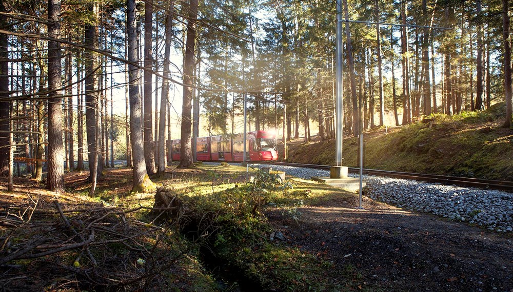 Mit einem attraktiven Konzept soll die Waldstraßenbahn noch mehr InnsbruckerInnen und Gäste der Stadt umweltfreundlich und gut erreichbar in die anliegenden Naherholungsgebiete bringen.