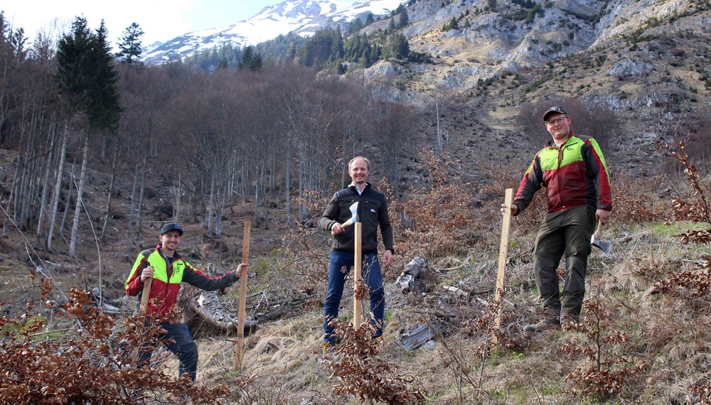 Vizebürgermeister Johannes Anzengruber (M.) und Mitarbeiter des Amtes für Wald und Natur bei der Wiederaufforstung im Bereich der Arzler Alm.