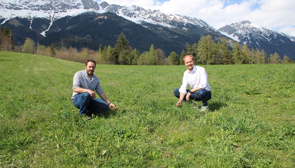 Vizebürgermeister Johannes Anzengruber mit Gebietsobmann Andreas Heis bei der Besichtigung der landwirtschaftlichen Kulturen.