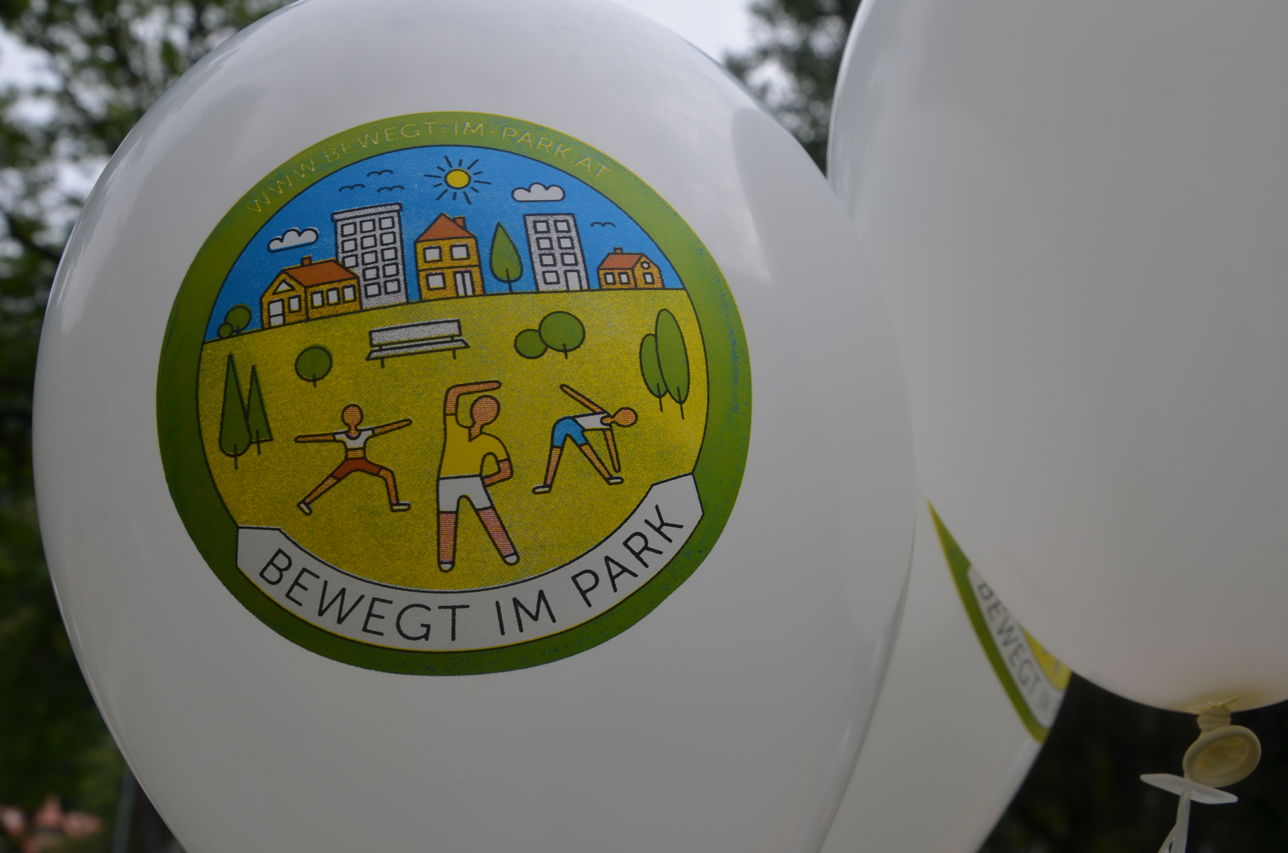 Am Bewegungs- und Sportprogramm "Bewegt im Park" kann man insgesamt 12 Wochen lang im Sommer kostenlos und ohne Anmeldung teilnehmen.