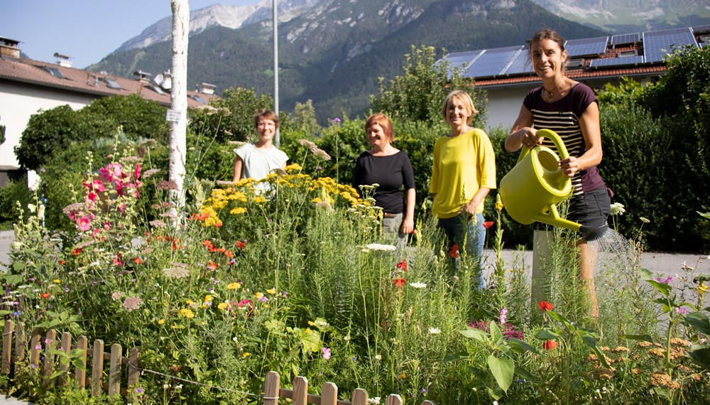 Simone Pichler (r.) beweist mit BewohnerInnen des „Haus im Leben“ am Fürstenweg ein besonders grünes Händchen. Ihre blühende Insel freut auch Maria Habernig-Fecht vom Stadtteiltreff Wilten (2. v. r.) sowie Lilian Winter vom Stadteiltreff Höttinger-Au (l.).