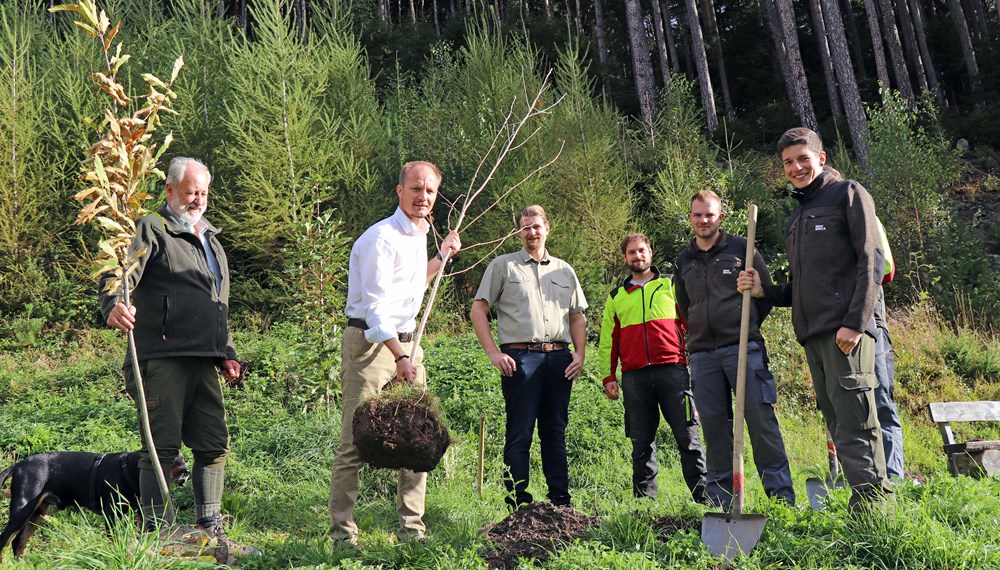 Neue Bäume für das Naherholungsgebiet am Viller Moor: Vizebürgermeister Johannes Anzengruber (2.v.l) gemeinsam mit Kurt Pröller vom Referat Wald und Almen (1.v.l.) und den Mitarbeitern des Amtes für Wald und Natur.