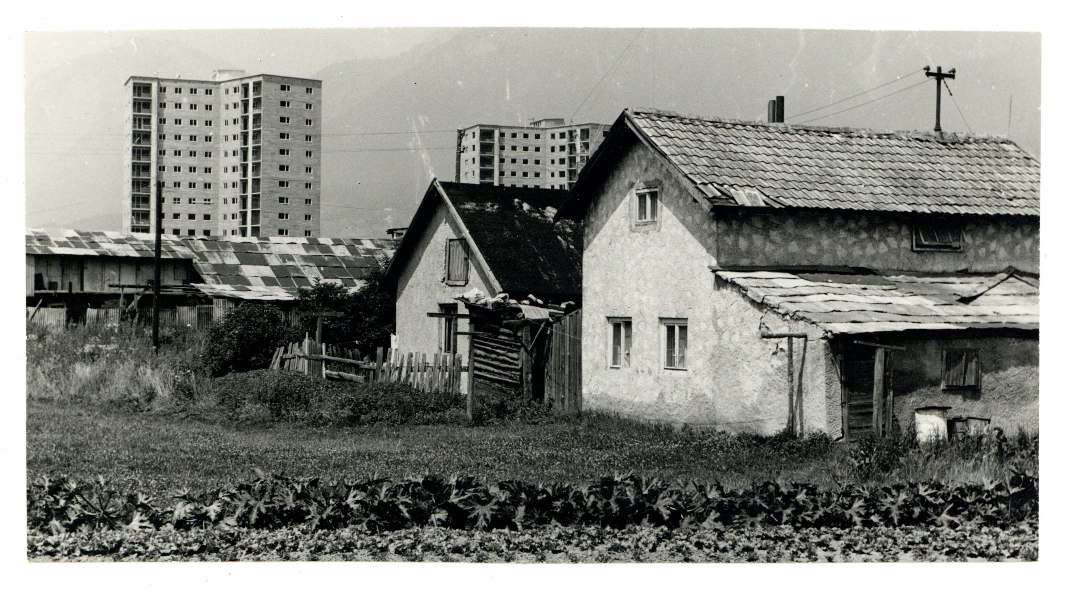Die Bocksiedlung entstand Anfang der 1930er Jahre, da es der Stadt an Wohnungen fehlte.