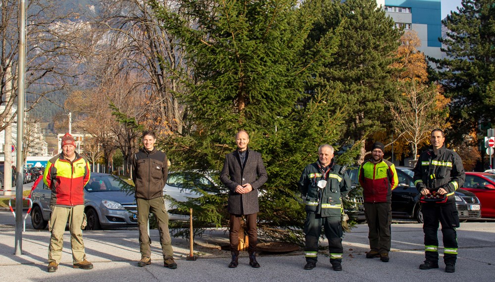 Abschließend wurde nun auch im Stadtteil Olympisches Dorf ein Christbaum aufgestellt. Vizebürgermeister Anzengruber (3.v.l.) und Förster Florian Jäger (2.v.l.) freuen sich gemeinsam mit den Mitarbeitern der Berufsfeuerwehr Innsbruck und des Amtes für Wald und Natur über die mehr als 220 Bäume im Stadtgebiet.