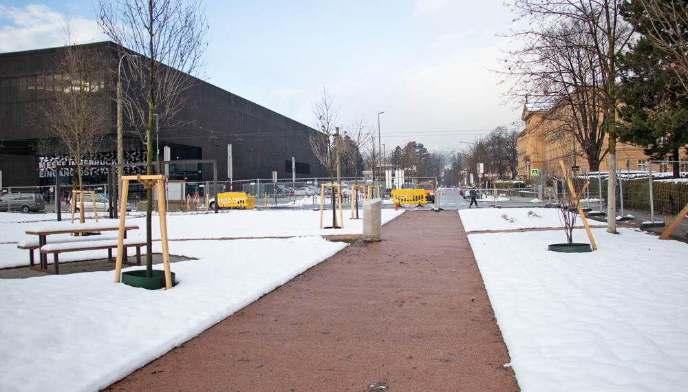 Die Straße musste Platz für den Radweg machen, die Wegedecken wurden mittels Dränbeton wasserdurchlässig gestaltet, also entsiegelt.