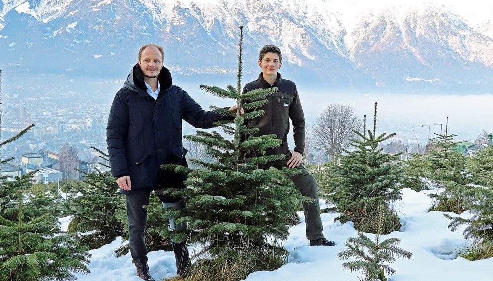 Vizebürgermeister Johannes Anzengruber (l.) und Förster Florian Jäger (Amt für Wald und Natur) inmitten der städtischen Christbaumkultur am Lemmenhof oberhalb von Innsbruck.