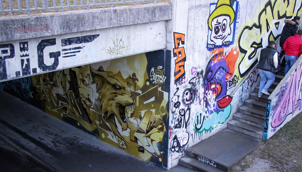Eine Raubkatze von Crazy Mister Sketch ist bei der Unterführung Universitätsbrücke zu sehen.