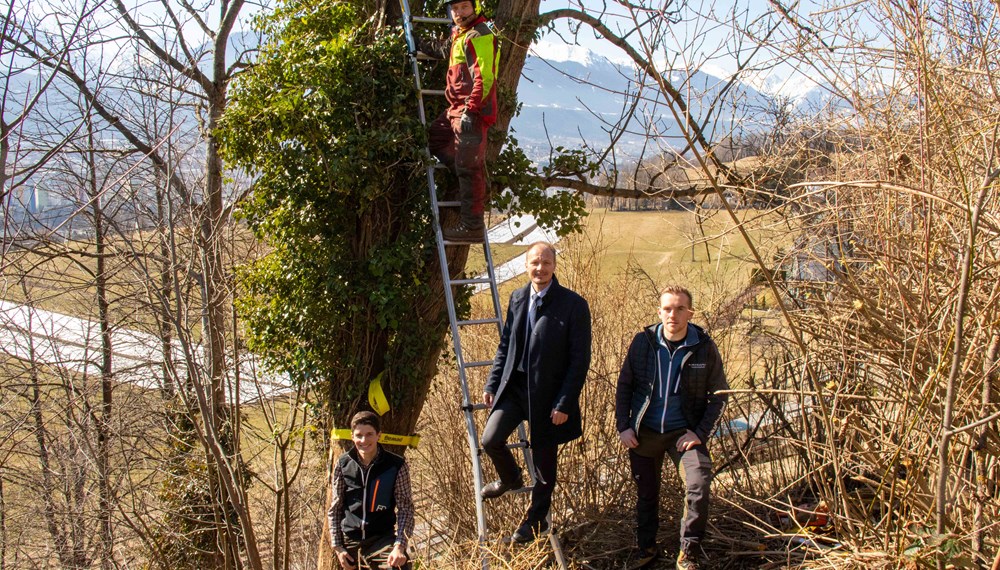 Vizebürgermeister Johannes Anzengruber (M.) machte sich gemeinsam mit Förster Florian Jäger (l., Amt für Wald und Natur) und Forstadjunkt Johannes Jennewein (r.) ein Bild von den Forstarbeiten der Mitarbeiter im Amt für Wald und Natur am Finkenbergweg.