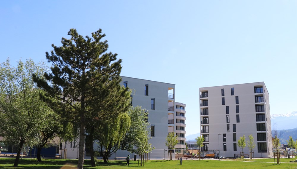 Die MieterInnen der Wohnanlage „Am Park“ in der Andechsstraße haben sich im Sommer 2020 bei der Einzugsbegleitung XL kennengelernt.