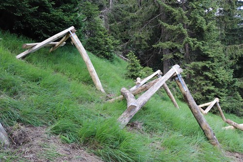 Dreibeinböcke