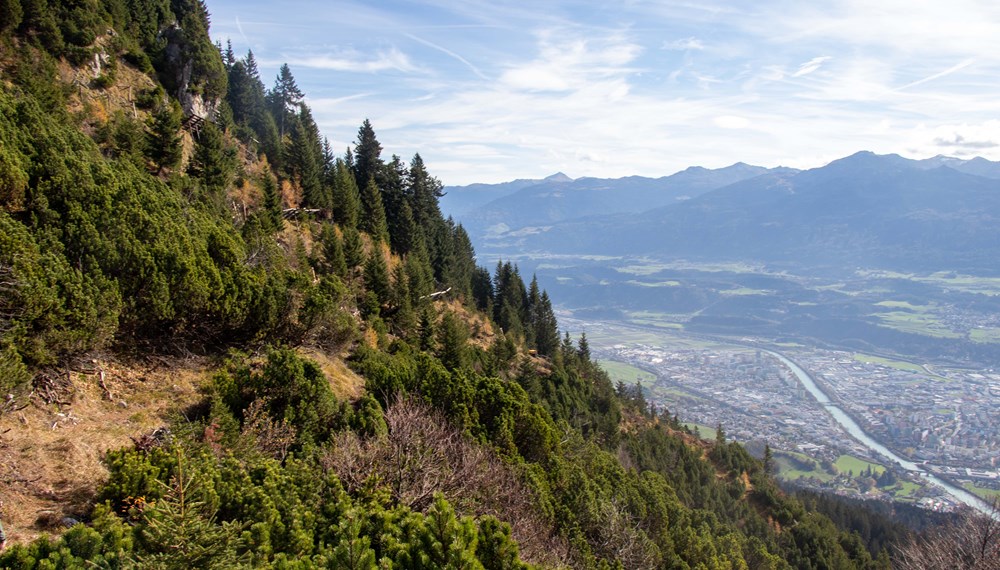 Knapp unterhalb der städtischen Bodensteinalm werden die teilweise zerstörten Holzstützwerke saniert oder bei Bedarf ersetzt.