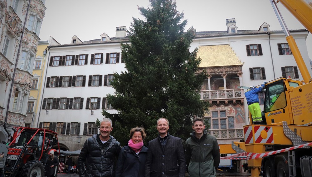 Freuen sich über die Aufstellung des Innsbrucker Christbaumes (v.l.): Robert Neuner (IAI Veranstaltungs GmbH), Heike Kiesling (GF Innsbruck Marketing), Vizebürgermeister Johannes Anzengruber und Florian Jäger (Amt für Wald und Natur).