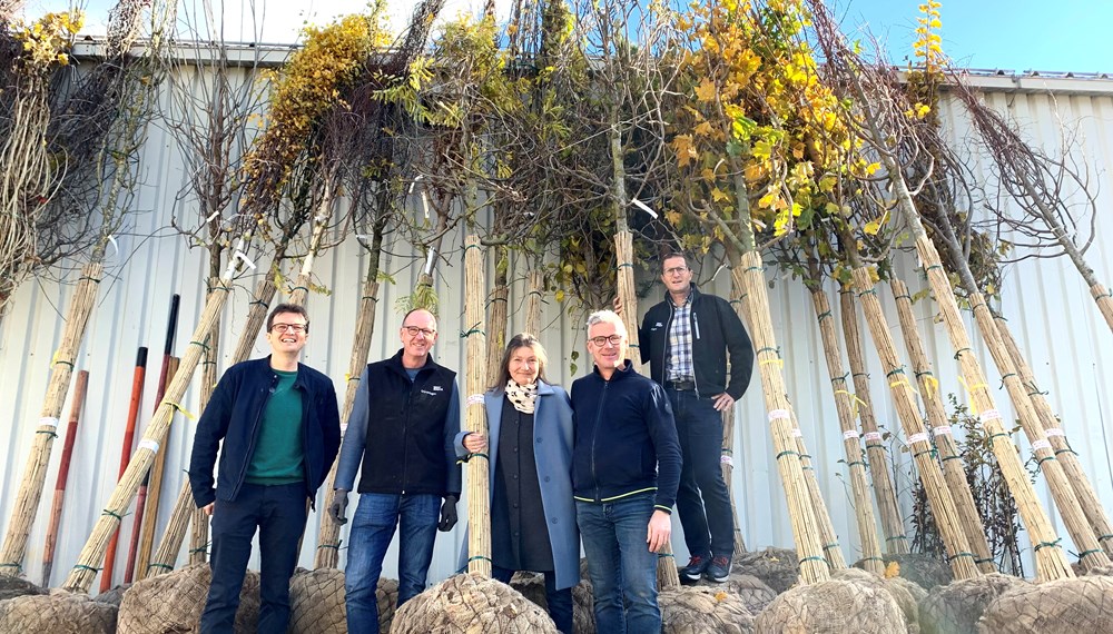 Gemeinsam mit Referatsleiter Markus Pinter, Robert Mair, Michael Gapp und Amtsleiter Thomas Klingler (v. l. n. r.) vom städtischen Grünanlagenamt, freut sich Stadträtin Uschi Schwarzl über 60 neue Bäume für Innsbruck.