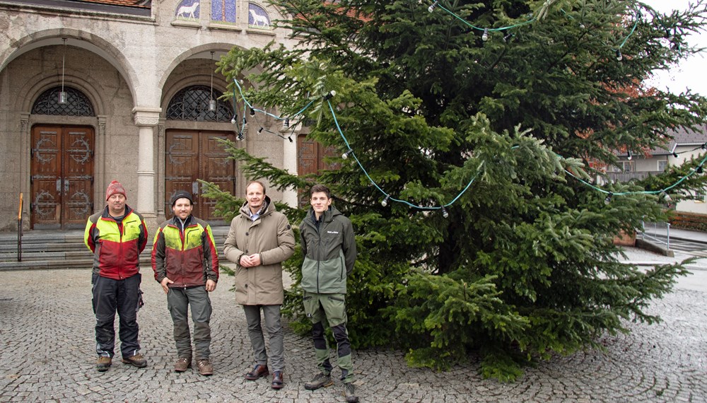 Vizebürgermeister Johannes Anzengruber (2.v.r.) freut sich mit Florian Jäger (r.), Referatsleiter für Wald und Almen, sowie den städtischen Mitarbeitern des Amtes für Wald und Natur über mehr als 270 aufgestellte Christbäume in Innsbruck.