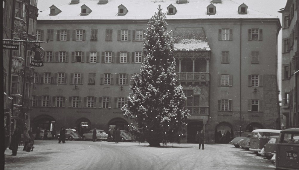 Seit Jahrzehnten sind die Innsbrucker Christbäume wichtiger Teil der Weihnachtszeit. (Aufnahme von 1966)