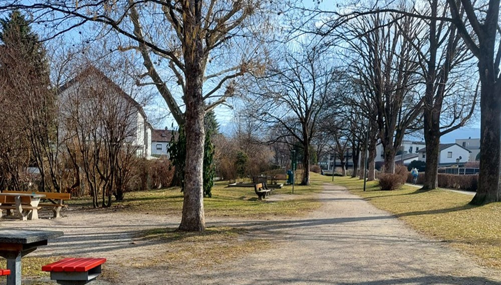 Der Grünzug Ursulinenpark wird ab Sommer 2023 umfangreich umgestaltet und durch weitere Spiel- und Erholungsflächen sowie Bäume und Bepflanzungen ergänzt.