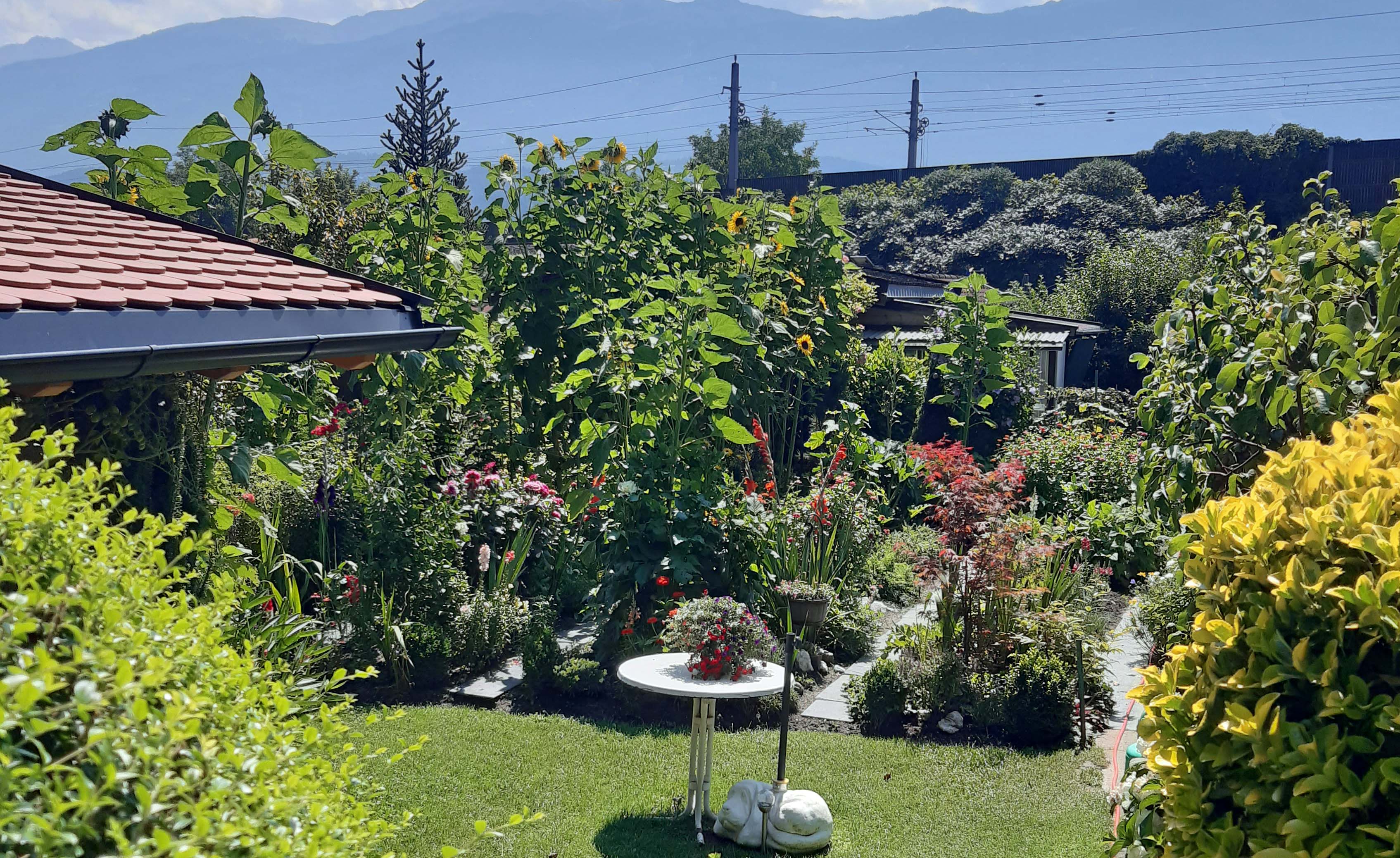 Auch Schrebergärten wurden beim Wettbewerb prämiert.