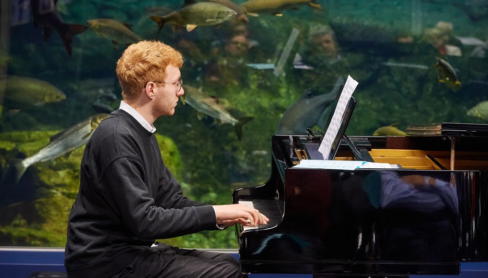 Die Musikschule Innsbruck und die Rheintalische Musikschule Lustenau musizieren gemeinsam am 25. März im Alpenzoo (Hans-Psenner-Saal).