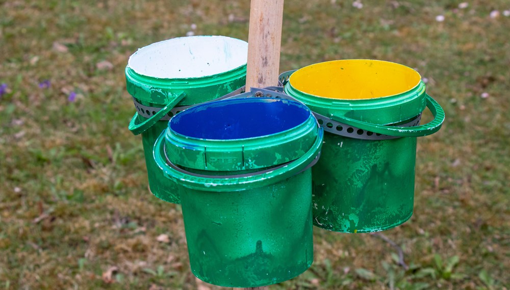An 16 Standorten stehen Farbschalen, in denen Wildbienen zur Erforschung gesammelt werden.