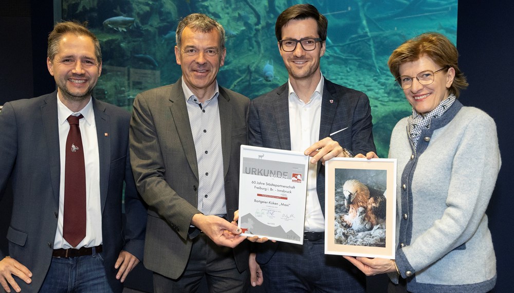 Bürgermeister Georg Willi (2. v. l.), Freiburgs Oberbürgermeister Martin Horn (2. v. r.), Stadträtin Christine Oppitz-Plörer und Alpenzoo-Direktor André Stadler bei der Übergabe der Patenschaft für das Bartgeierküken Maxi