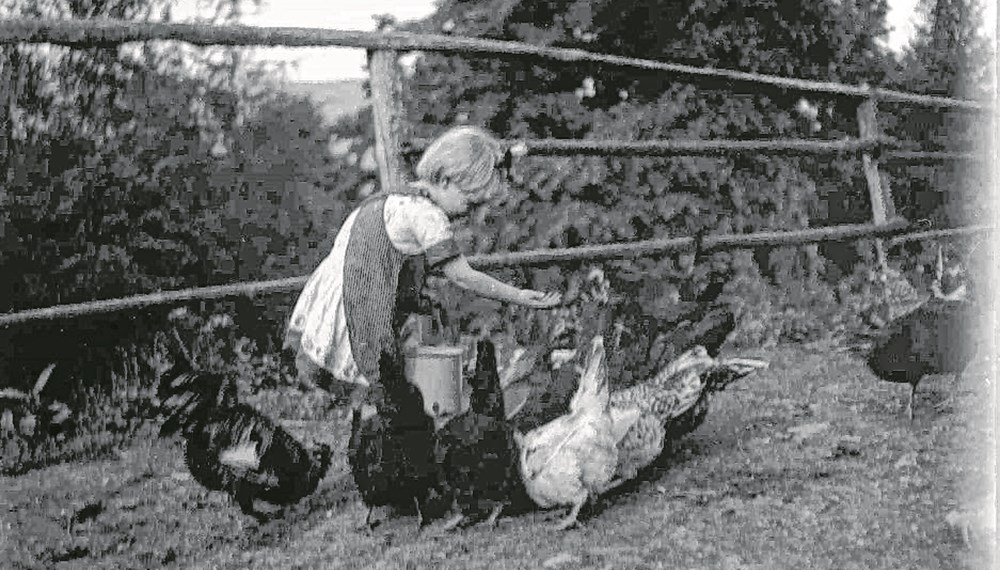 Kleines Mädchen beim Füttern von Hühnern, vermutlich 1920er-Jahre.
